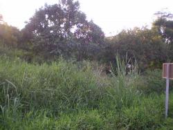 imoveis em Itapoá