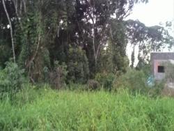 #1143 - Terreno para Venda em Itapoá - SC - 2