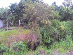 #1250 - Terreno para Venda em Itapoá - SC - 3