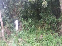Terreno para Venda em Itapoá - 3