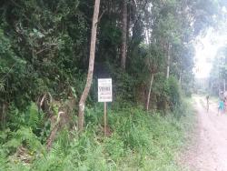 Terreno para Venda em Itapoá - 5
