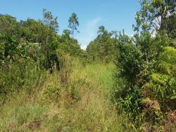 Terreno para Venda em Itapoá - 4
