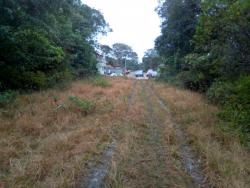 Terreno para Venda em Itapoá - 5