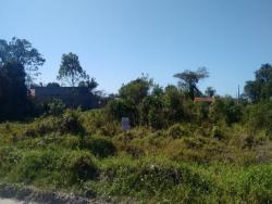 #1409 - Terreno para Venda em Itapoá - SC