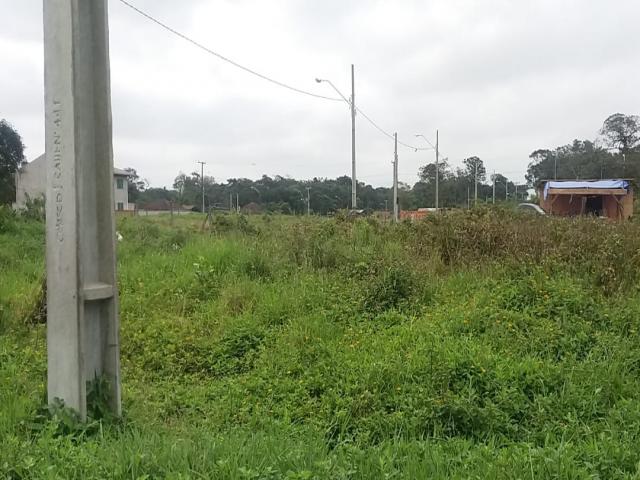 #1569 - Terreno para Venda em Itapoá - SC