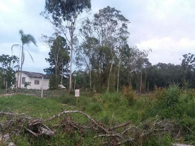 #1565 - Terreno para Venda em Itapoá - SC - 1