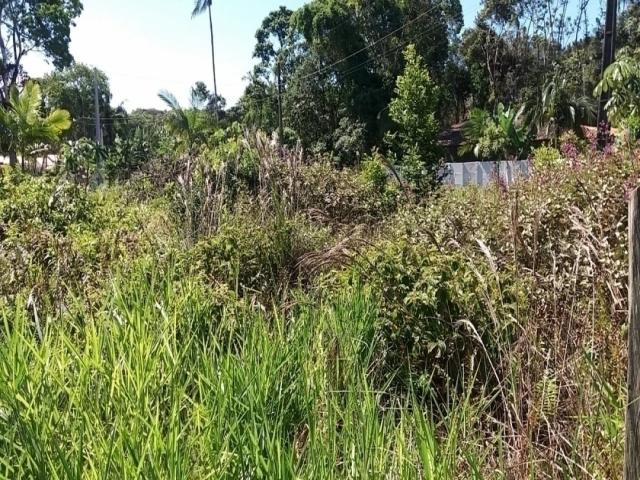 #1571 - Terreno para Venda em Itapoá - SC - 3