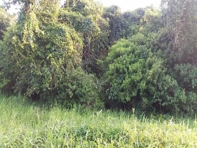 #1578 - Casa para Venda em Itapoá - SC - 3
