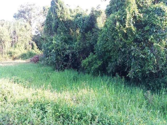 #1578 - Casa para Venda em Itapoá - SC - 1
