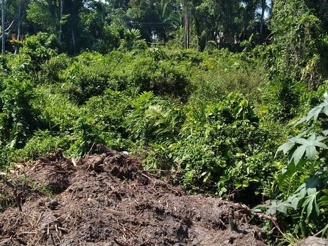 #1690 - Terreno para Venda em Itapoá - SC - 3