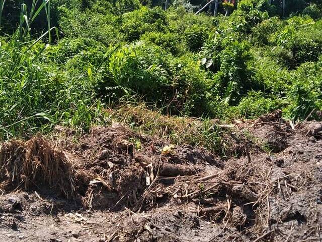 Terreno para Venda em Itapoá - 4