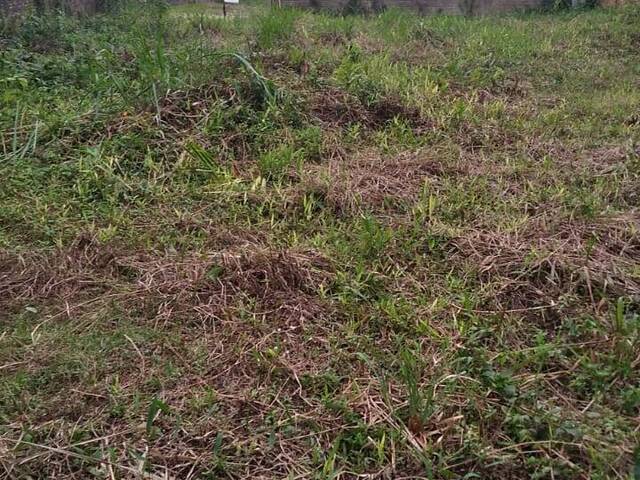 Terreno para Venda em Itapoá - 4