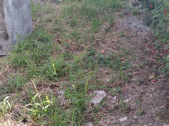 Terreno para Venda em Itapoá - 2