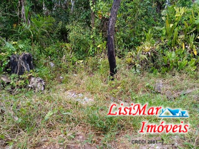 Terreno para Venda em Itapoá - 5