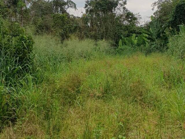 #1781 - Terreno para Venda em Itapoá - SC - 2