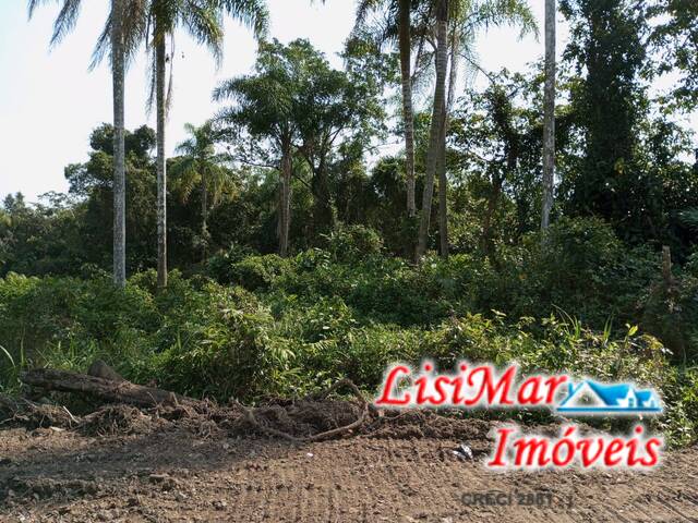 Terreno para Venda em Itapoá - 5