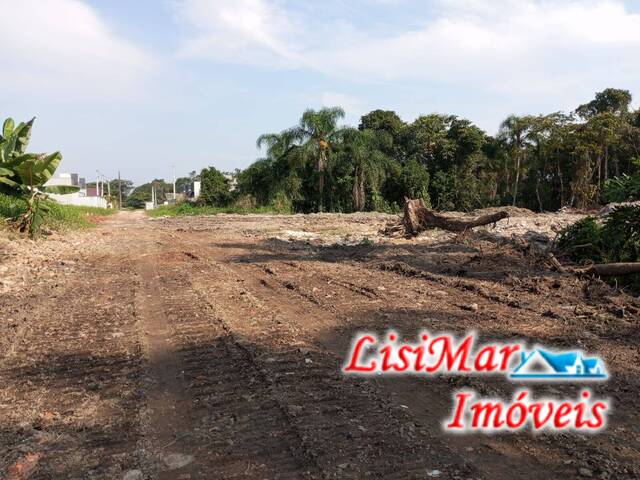 #1548 - Terreno para Venda em Itapoá - SC - 1