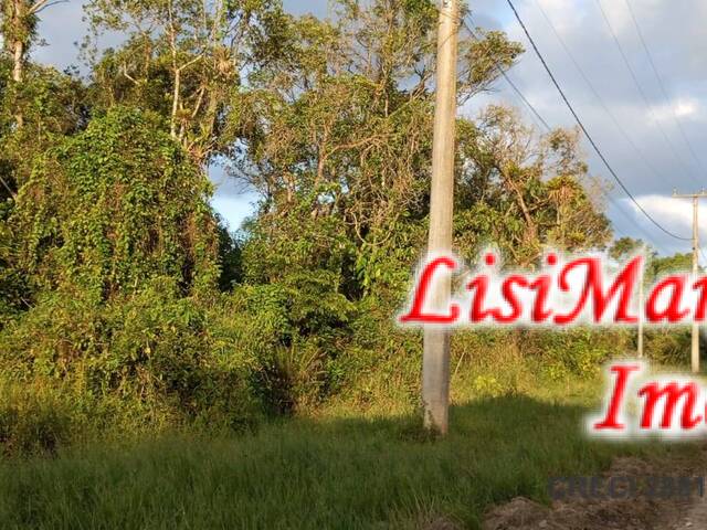 #1879 - Terreno para Venda em Itapoá - SC - 3