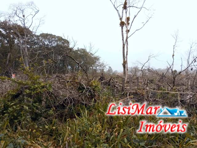 Terreno para Venda em Itapoá - 5