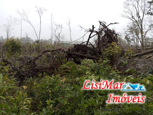#1908 - Terreno para Venda em Itapoá - SC - 3