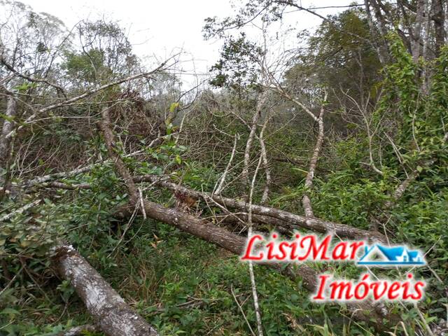 #1908 - Terreno para Venda em Itapoá - SC - 3